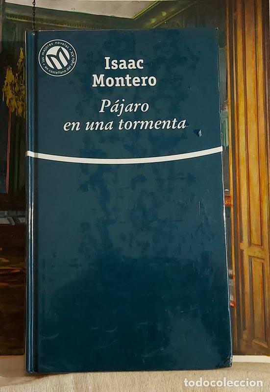 Libros: P&aacute;jaro en una tormenta - Isaac Montero - Foto 1