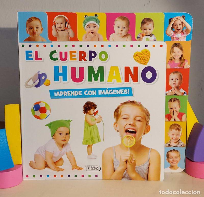 Libros: El cuerpo humano. &iexcl;Aprende con im&aacute;genes! - Foto 1
