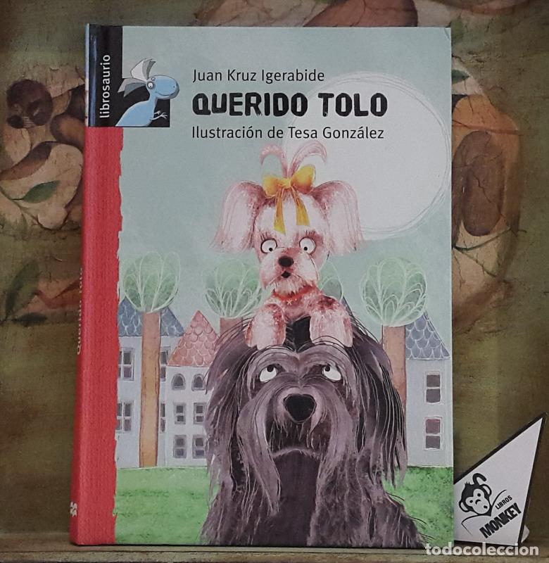 Libros: Querido Tolo - Juan Kruz Igerabide - Foto 1