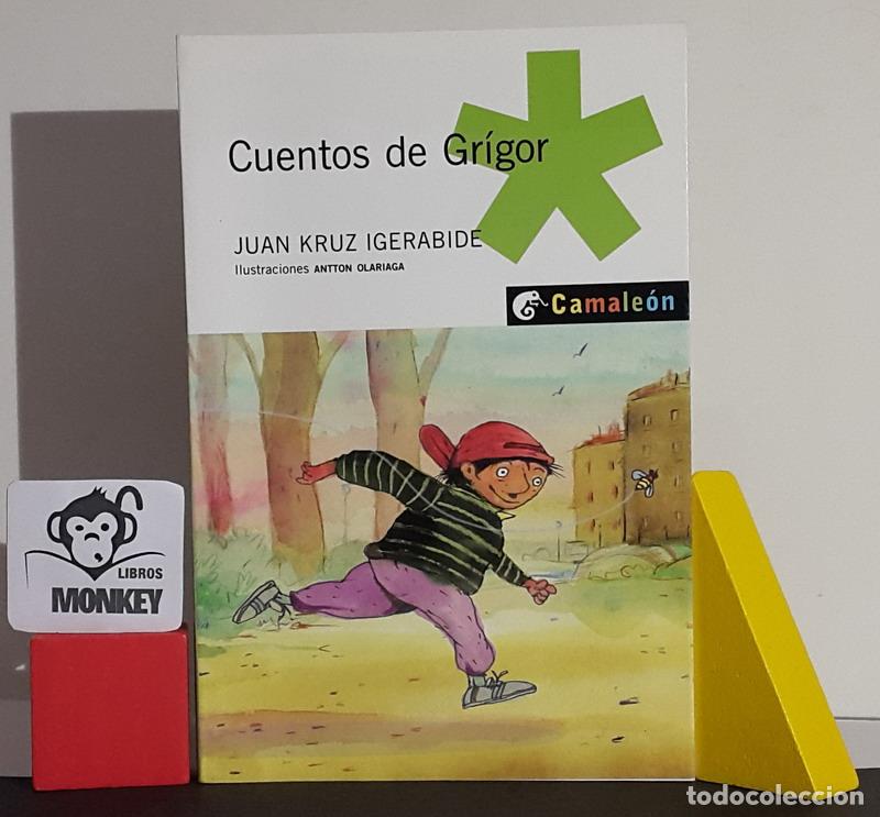 Libros: Cuentos de Gr&iacute;gor - Juan Kruz Igerabide - Foto 1
