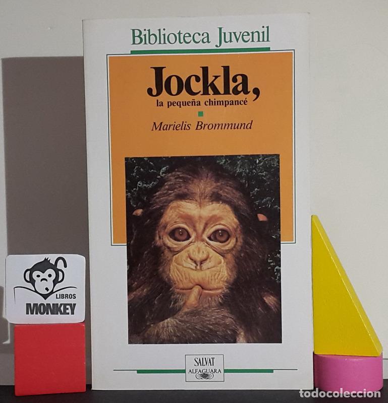 Libros: Jockla, la peque&ntilde;a chimpanc&eacute; - Marielis Brommund - Foto 1