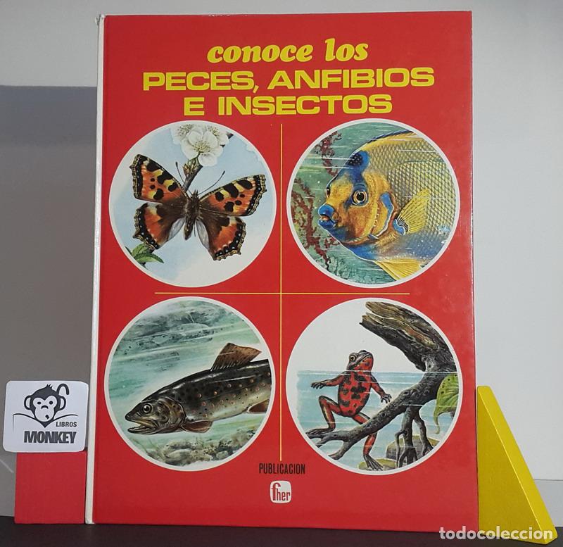 Libros: Conoce los peces, anfibios e insectos - Otto von Frisch - Foto 1