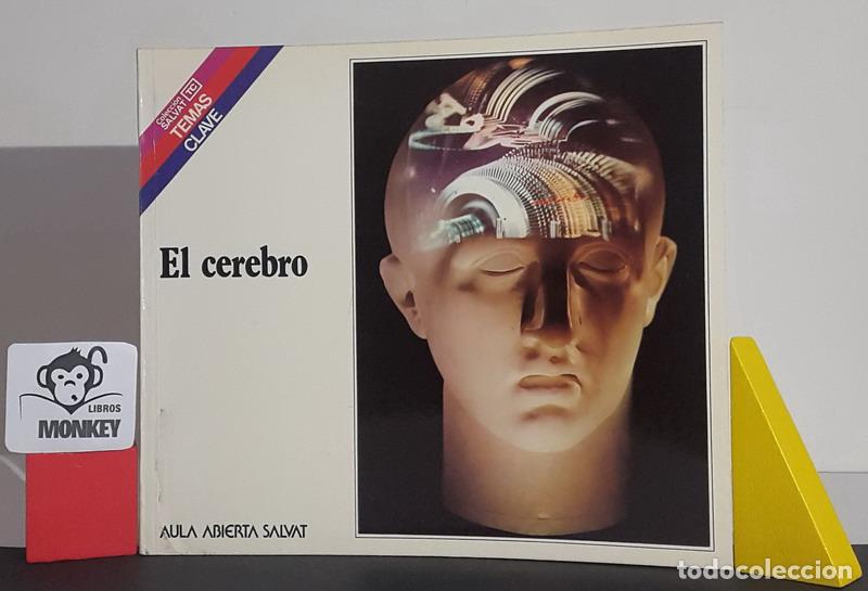Libros: El cerebro - Juan Masana Ronquillo - Foto 1