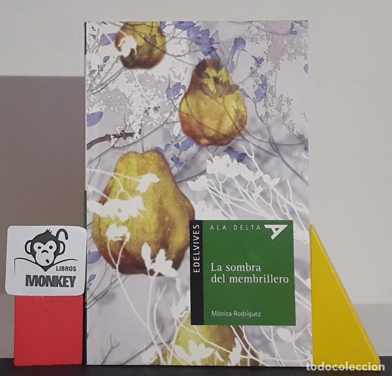 Libros: La sombra del membrillero - M&oacute;nica Rodr&iacute;guez - Foto 1