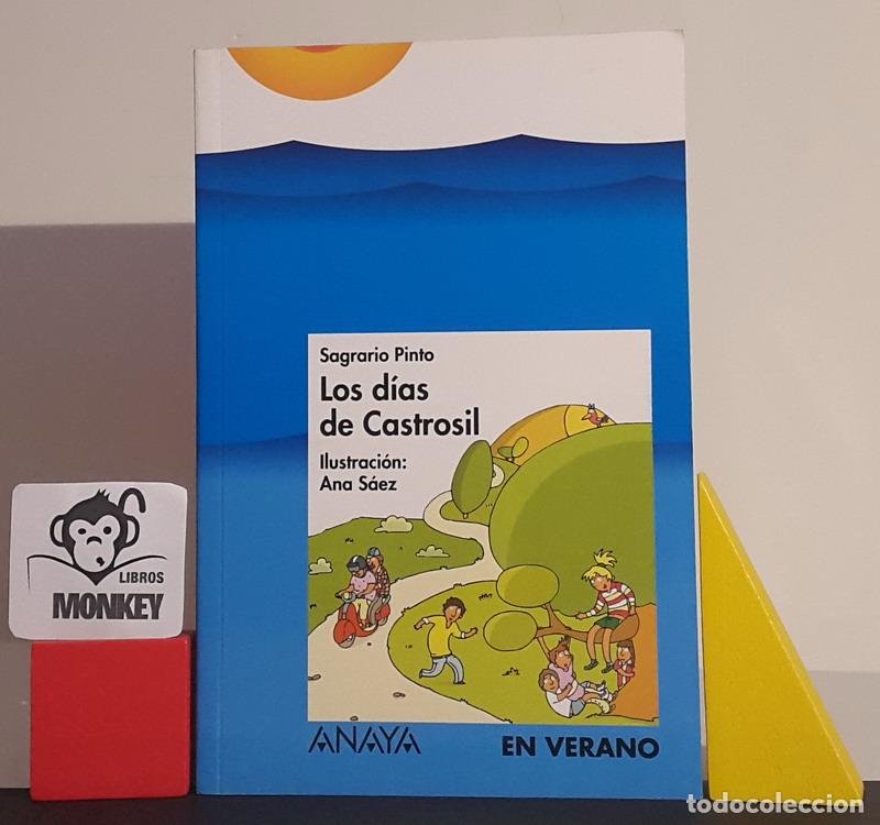 Libros: Los d&iacute;as de Castrosil - Sagrario Pinto - Foto 1
