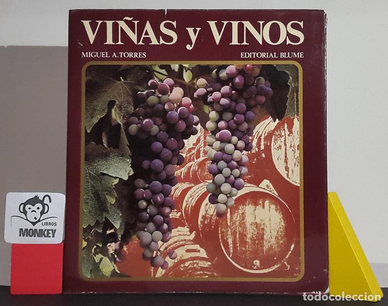 Libros: Vi&ntilde;as y vinos - Miguel A. Torres - Foto 1