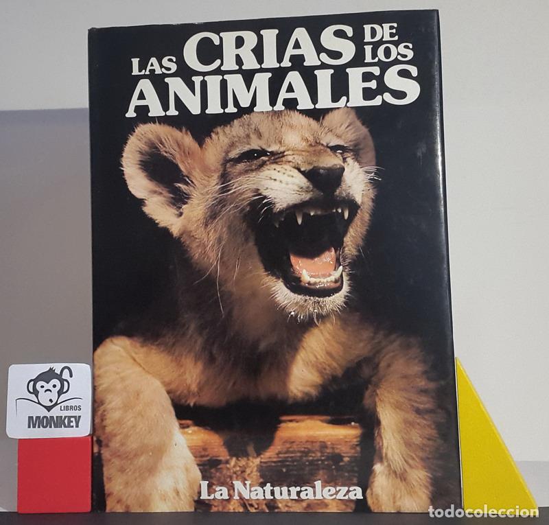 Libros: Las cr&iacute;as de los animales - Jane Burton - Foto 1