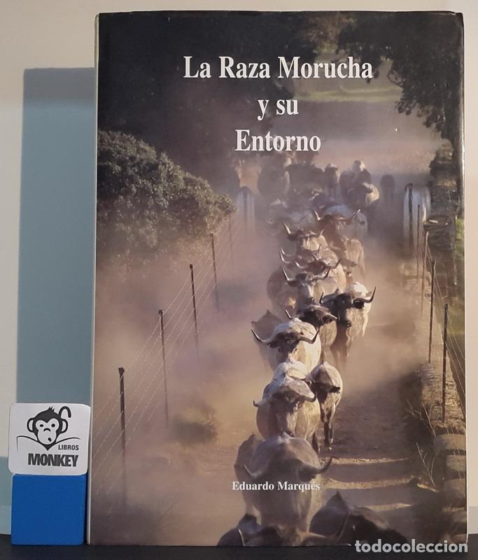 Libros: La Raza Morucha y su Entorno - Eduardo Marqu&eacute;s - Foto 1