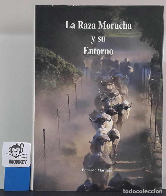 Libros: La Raza Morucha y su Entorno - Eduardo Marqu&eacute;s - Foto 1