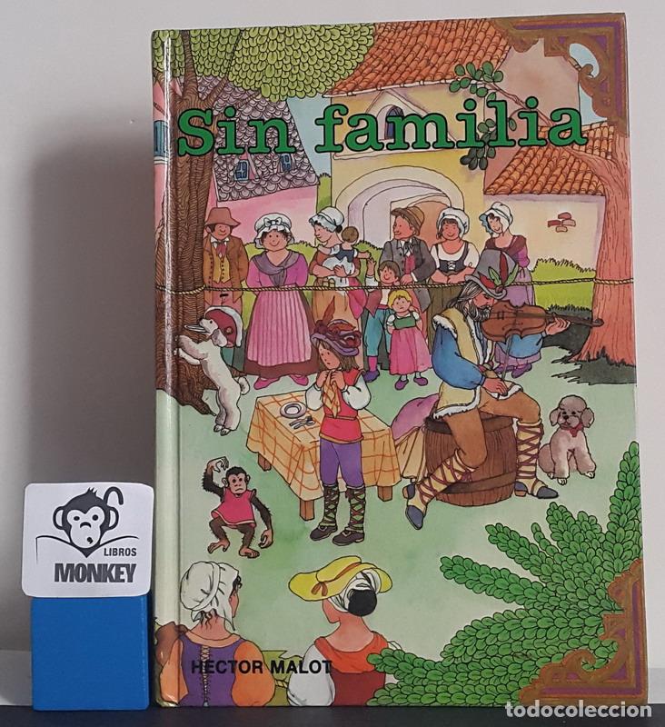 Libros: Sin familia - H&eacute;ctor Malot - Foto 1