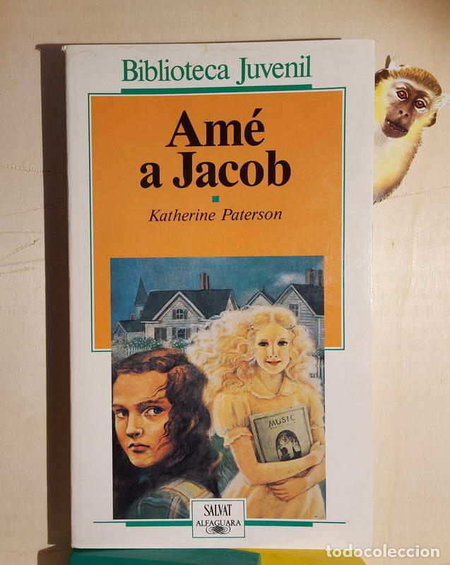 Libros: Am&eacute; a Jacob - Katherine Paterson - Foto 1