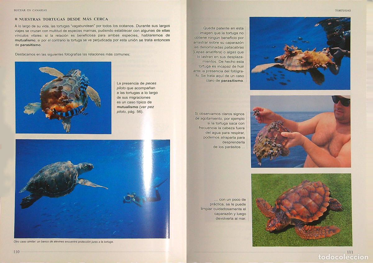 Libros: BUCEAR EN CANARIAS - SERGIO HANQUET - 2004 - TENERIFE - CANARIAS - Foto 4
