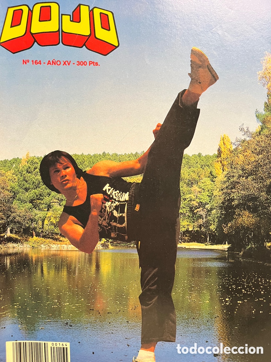 Libros: Revistas dojo (160 a 166) - Foto 5