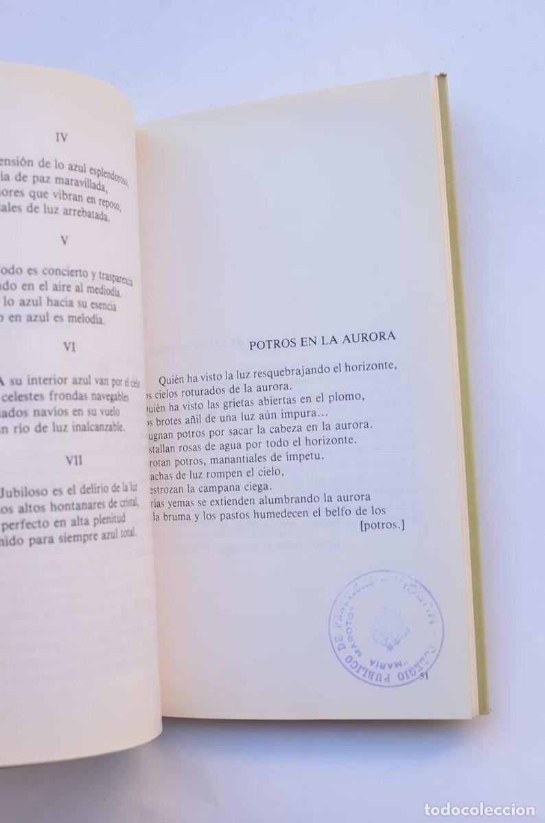 Libros: Celebraci&oacute;n de la luz - ALONSO, Luis - Foto 3