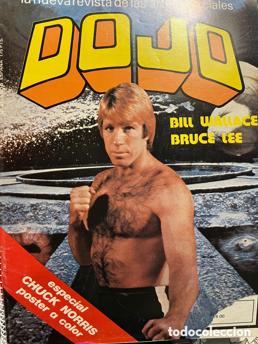 Libros: Revista Dojo n 41 - Foto 1