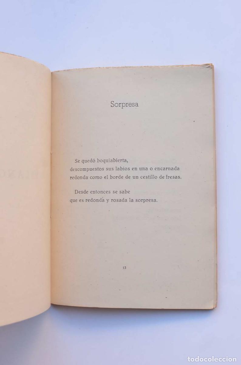 Libros: Corimbo - PARA VICO, Antonio - Foto 3