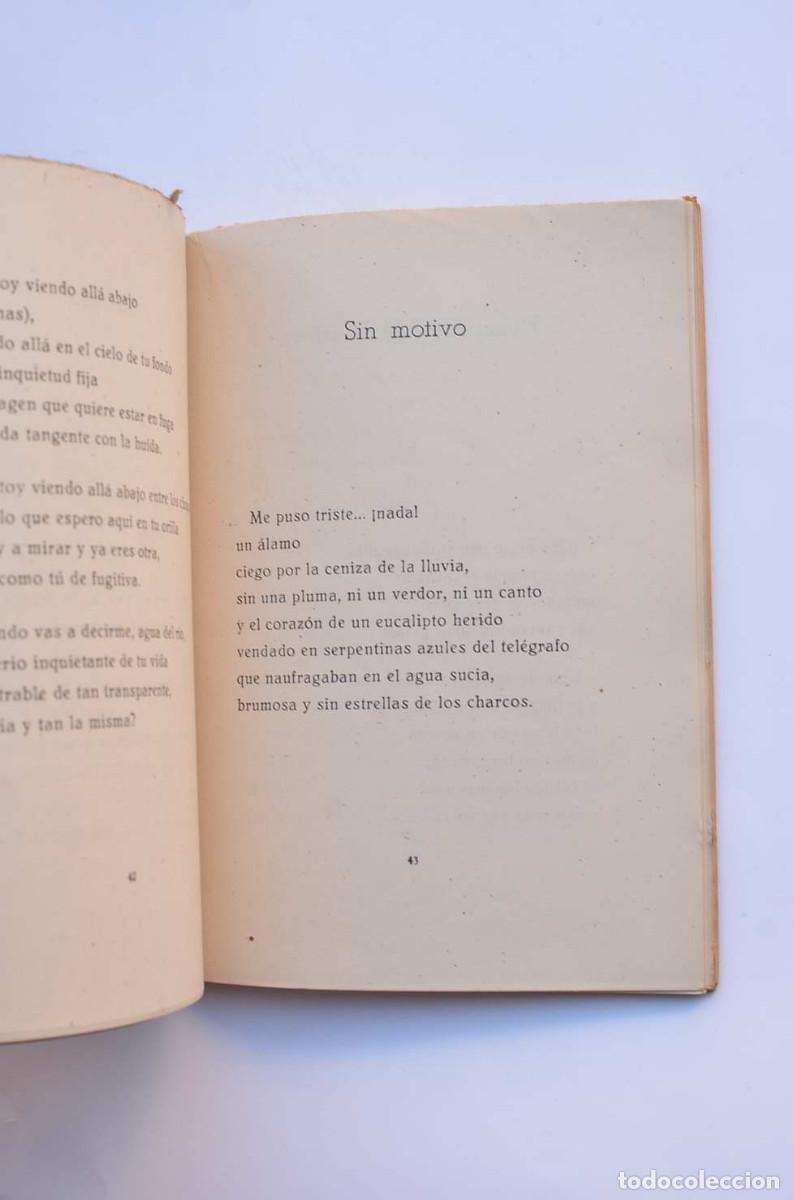 Libros: Corimbo - PARA VICO, Antonio - Foto 4