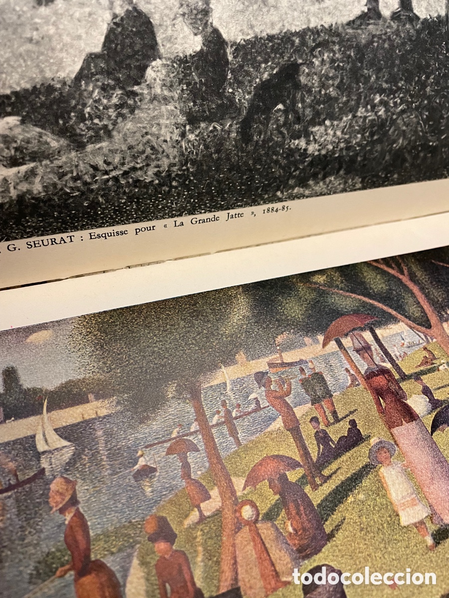 Libros: Seurat. John Rewald. Paris, Ed.Albin Michel, 1948. - Foto 9