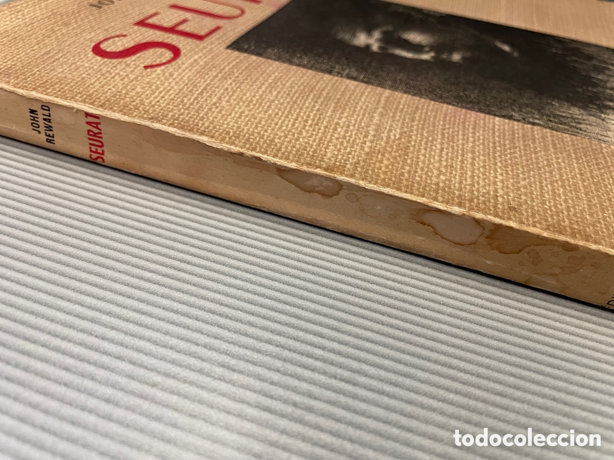 Libros: Seurat. John Rewald. Paris, Ed.Albin Michel, 1948. - Foto 11
