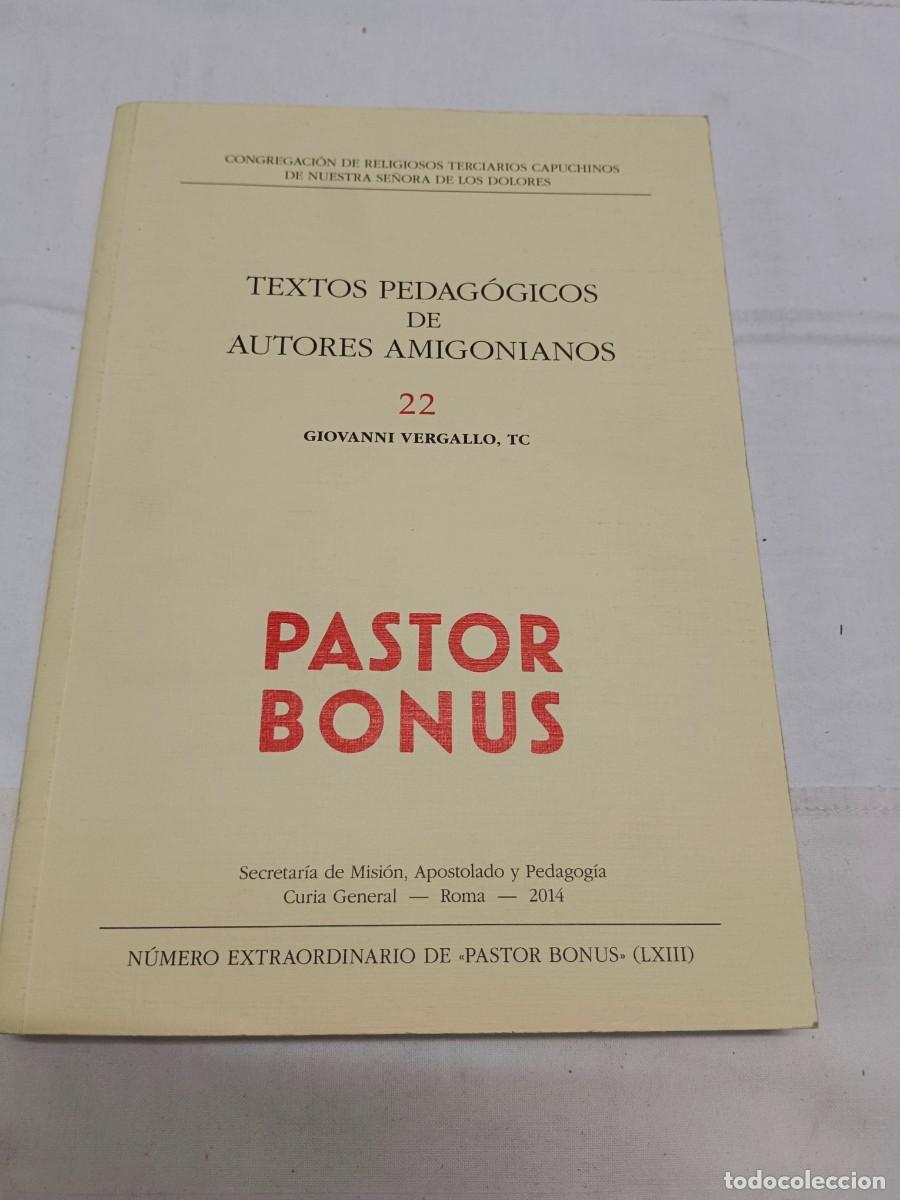 B&uuml;cher: TEXTOS PEDAGOGICOS DE AUTORES AMIGONIANOS 22 - Giovanni Vergallo