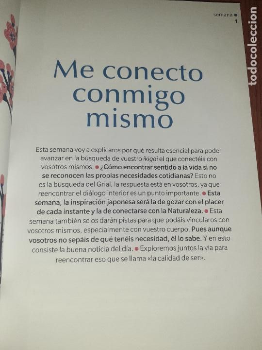 Libros: IKIGAI � AUTOAYUDA - CORALINE DE SURANY - Foto 4