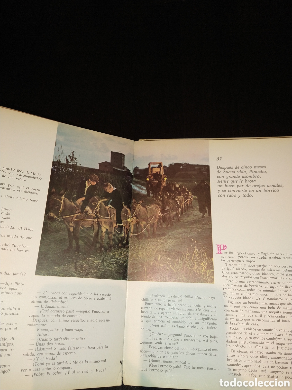 Libros: Las aventuras de Pinocho de collodi - ediciones paulinas 1972 - Foto 6