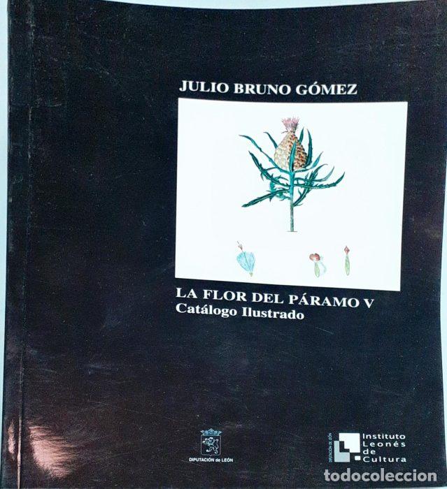 Libros: La flor del P&aacute;ramo V &ndash; Cat&aacute;logo ilustrado - BRUNOI, GONZ&Aacute;LEZ, JULIO - Foto 1