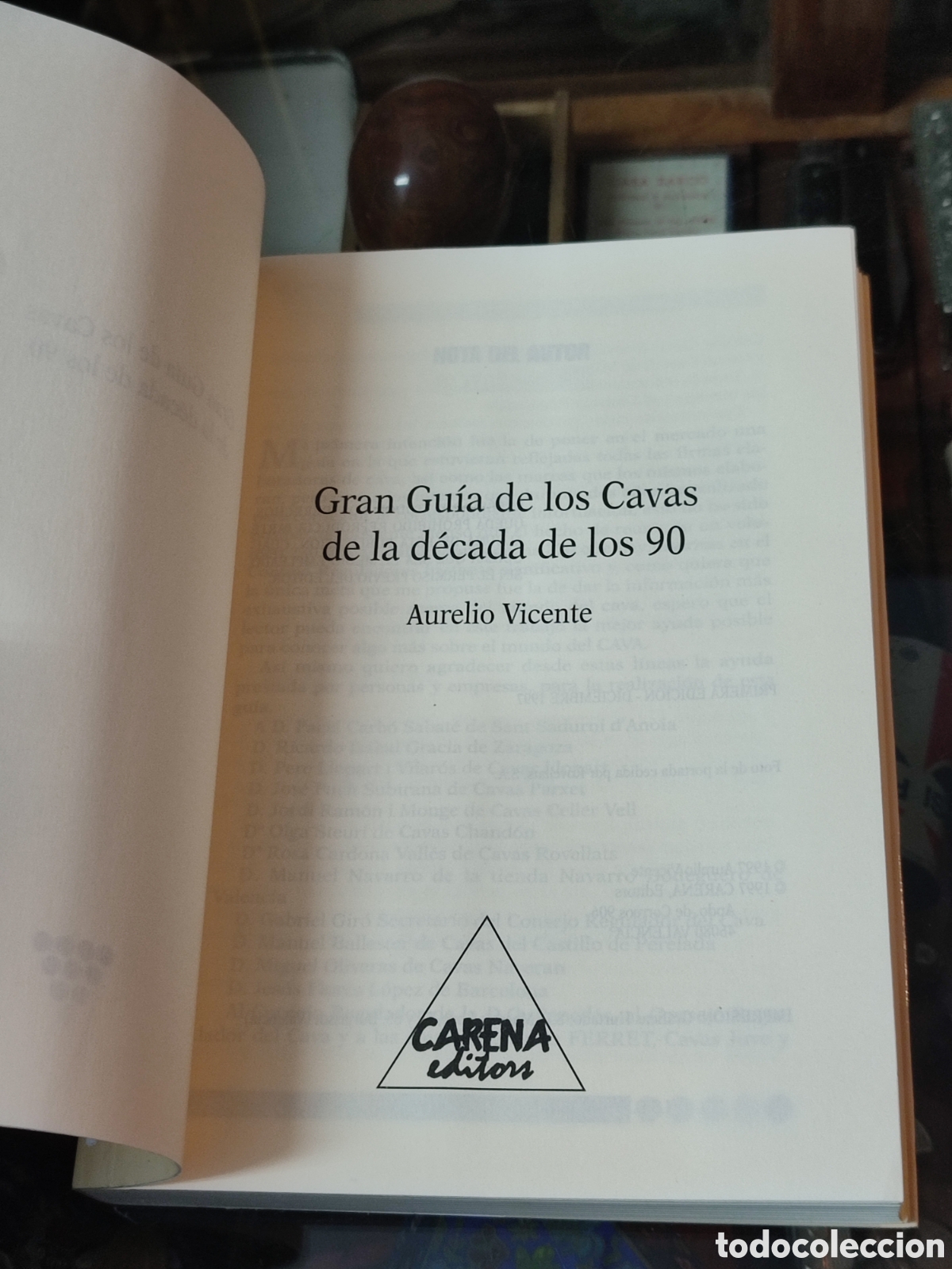 Libros: Gran gu&iacute;a de los cavas D&eacute;cada de los 90 Aurelio Vicente - Foto 2