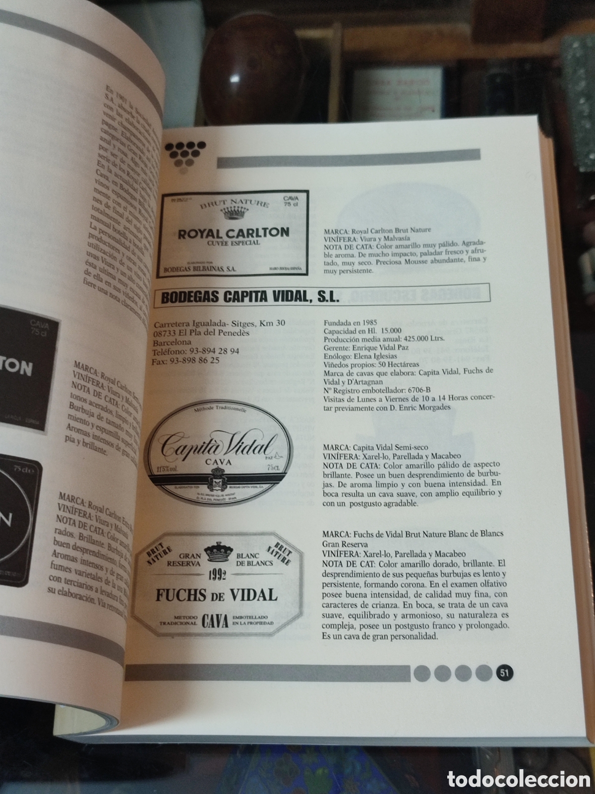 Libros: Gran gu&iacute;a de los cavas D&eacute;cada de los 90 Aurelio Vicente - Foto 3