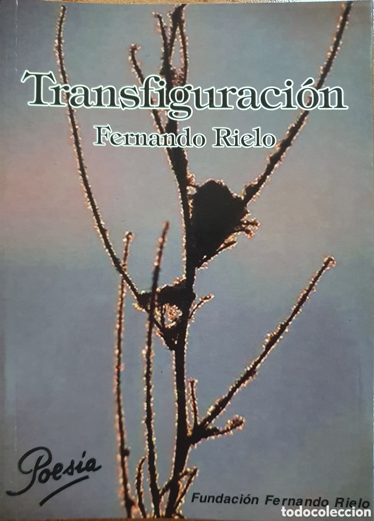 Libros: Transfiguraci&oacute;n - Fernando Rielo - Foto 1