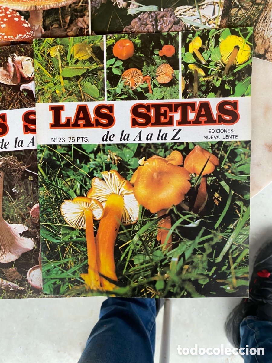 Libros: Coleccion fasc&iacute;culos setas - Foto 2