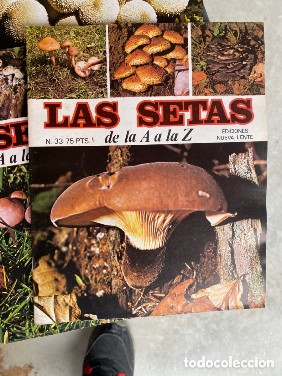 Libros: Coleccion fasc&iacute;culos setas - Foto 3