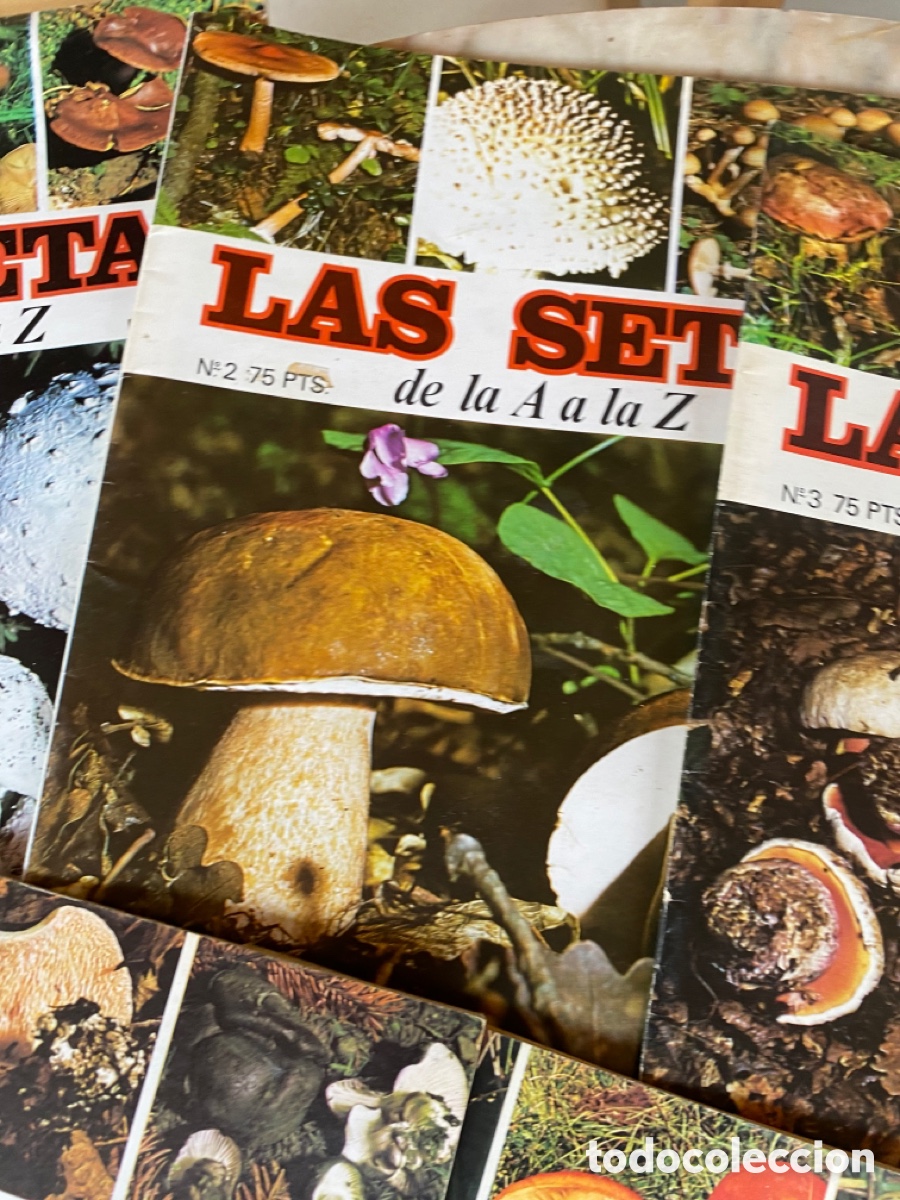 Libros: Coleccion fasc&iacute;culos setas - Foto 4