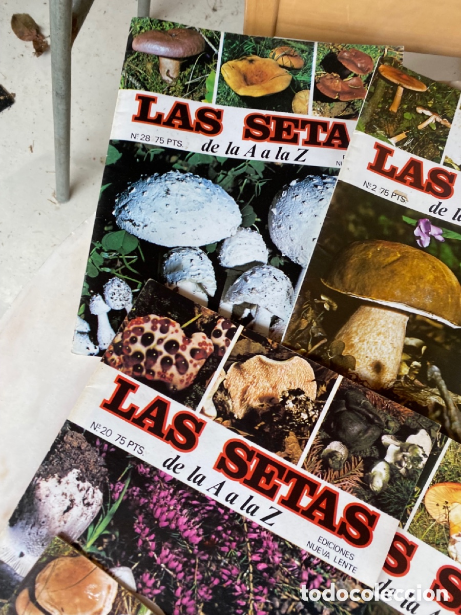 Libros: Coleccion fasc&iacute;culos setas - Foto 6