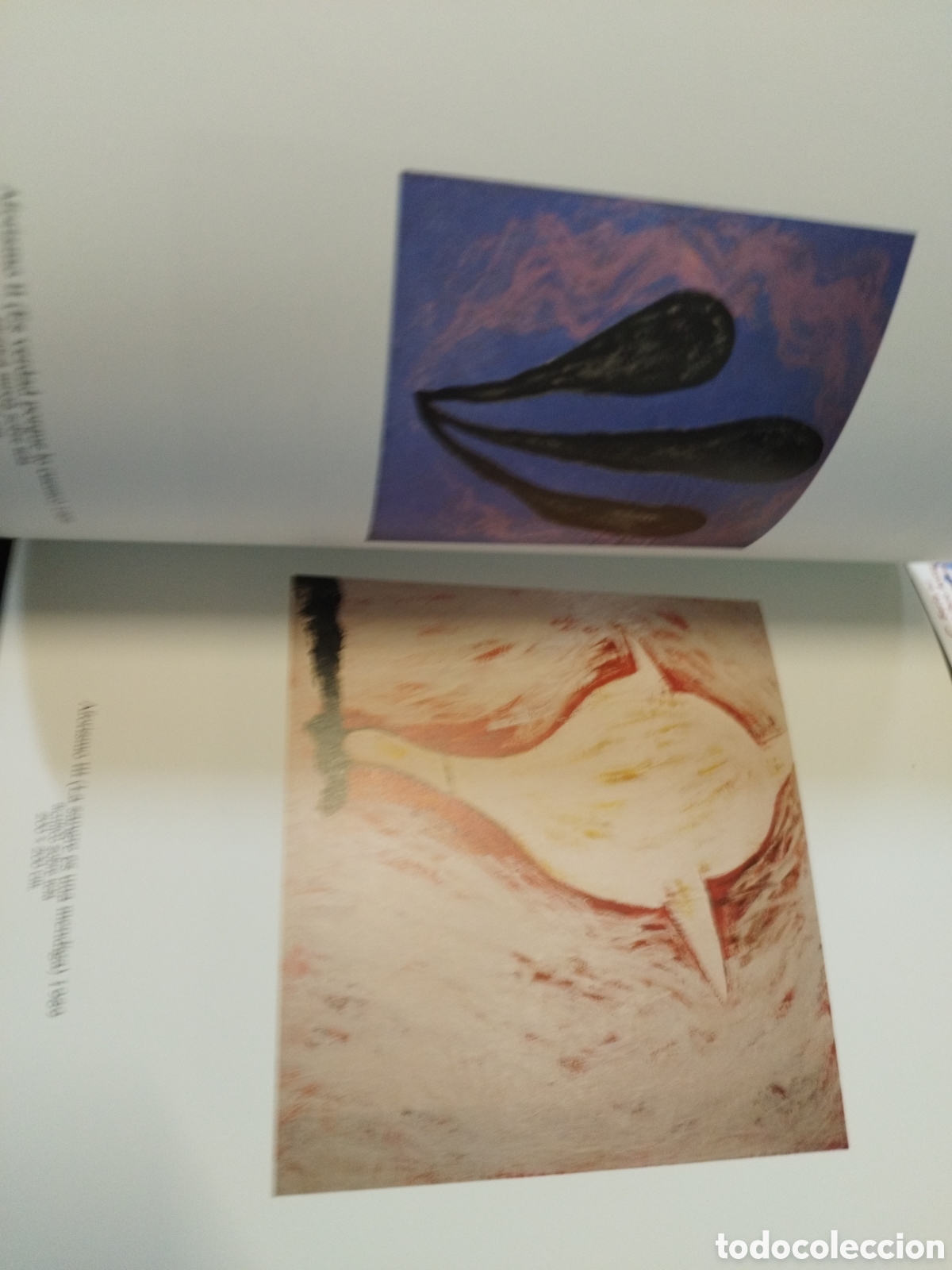 Libros: AFORISMOS. CARLOS PASCUAL - PASCUAL,Carlos - Foto 4