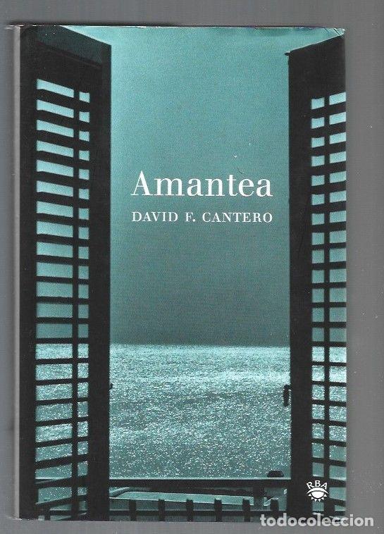 Libros: AMANTEA - CANTERO, DAVID F. - Foto 1