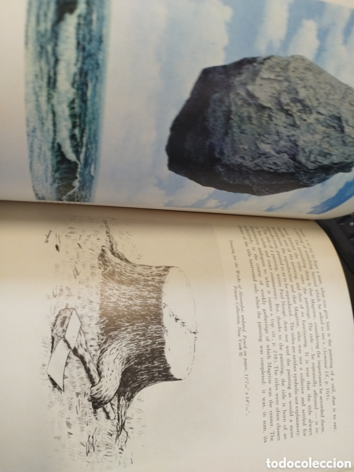 Libros: MAGRITTE - NO&Euml;L,Bernard - Foto 6