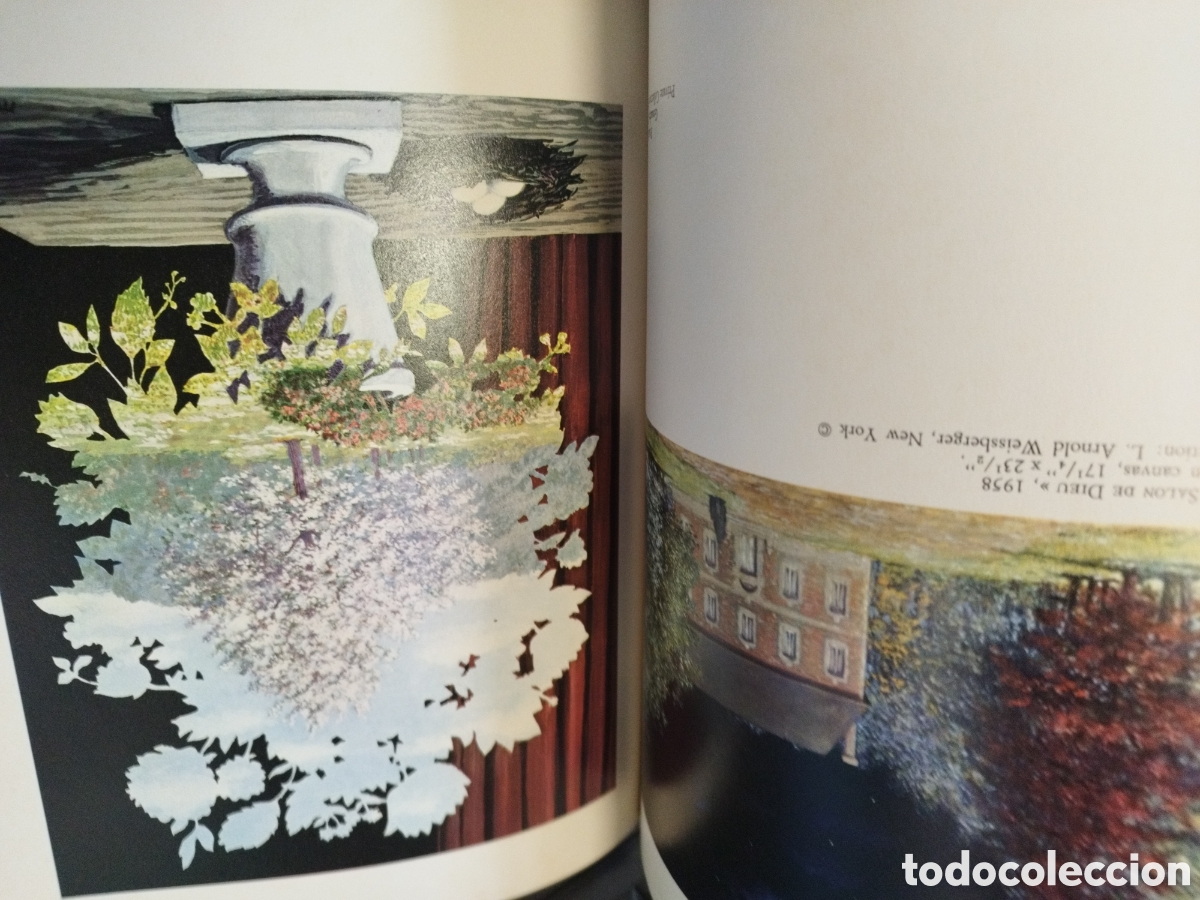 Libros: MAGRITTE - NO&Euml;L,Bernard - Foto 7