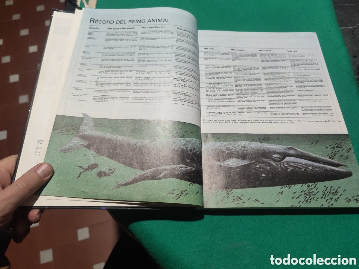 Libros: LIBRO GUINNESS DE LOS RECORDS 1987. - Foto 3