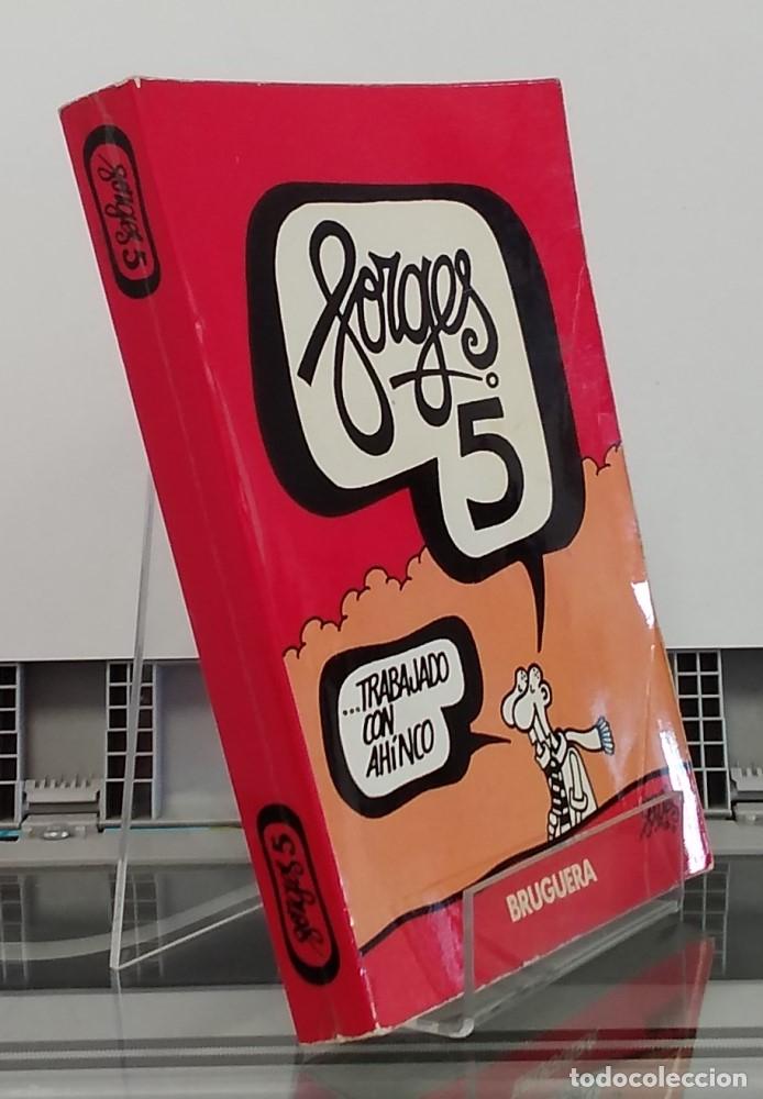 B&uuml;cher: Forges 5, 1981, el a&ntilde;o de la golpisa, de Colza's year