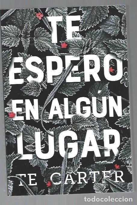Libros: TE ESPERO EN ALGUN LUGAR - TE CARTER - Foto 1