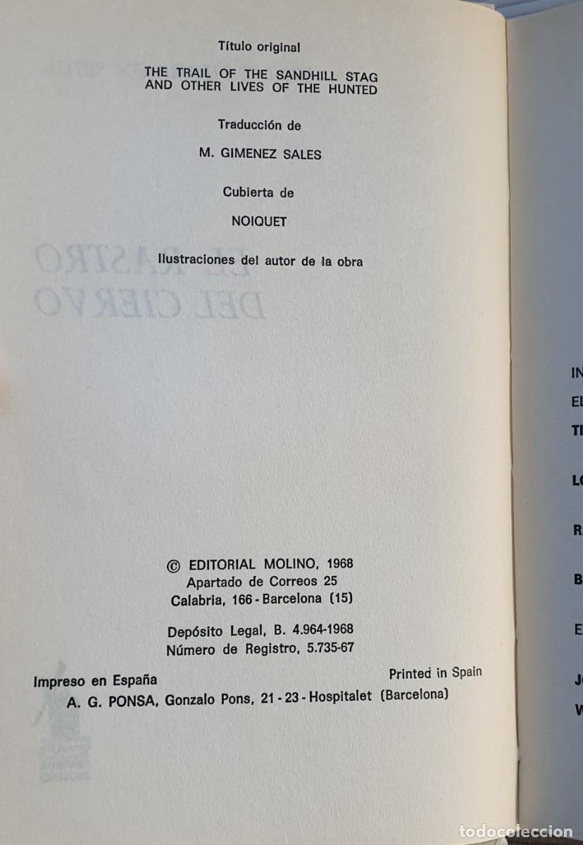 Libros: El rastro del ciervo - Ernest Thompson Seton. - Foto 2