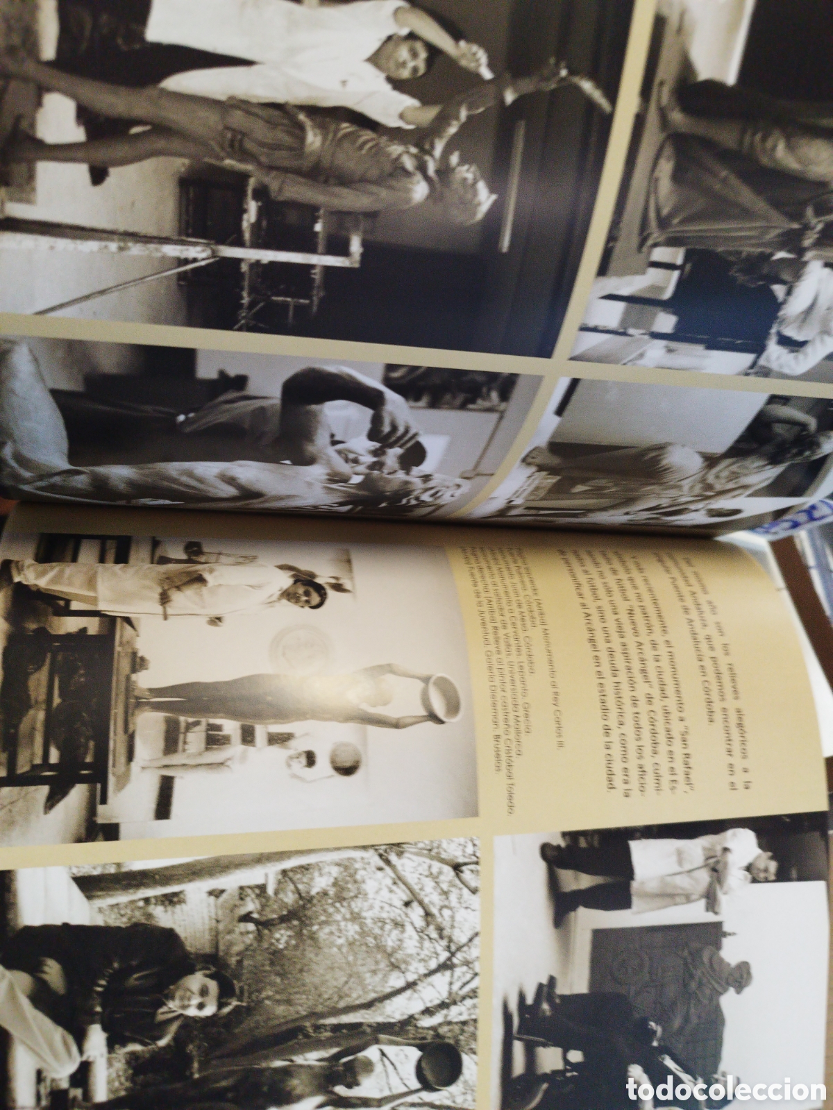 Libros: BELMONTE. Esculturas - CATALOGO - Foto 6