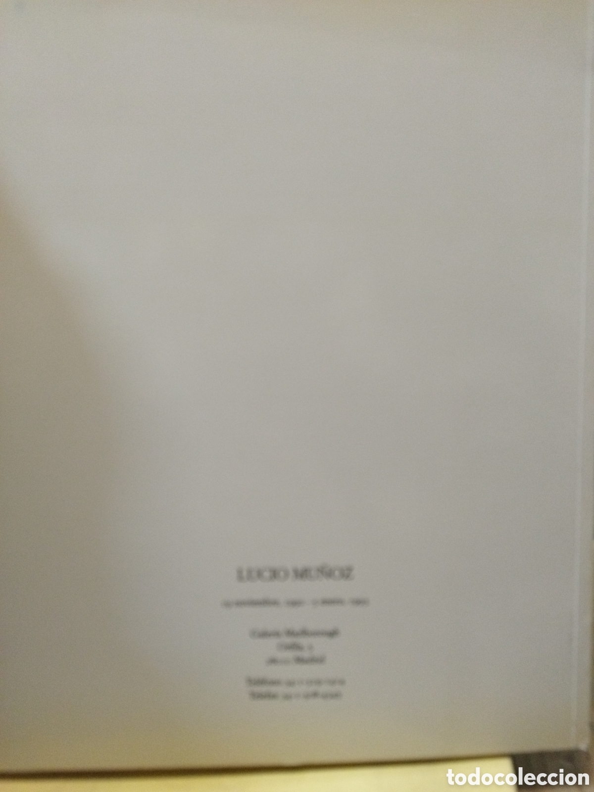 Libros: LUCIO MU&Ntilde;OZ. Obra reciente - CATALOGO - Foto 2