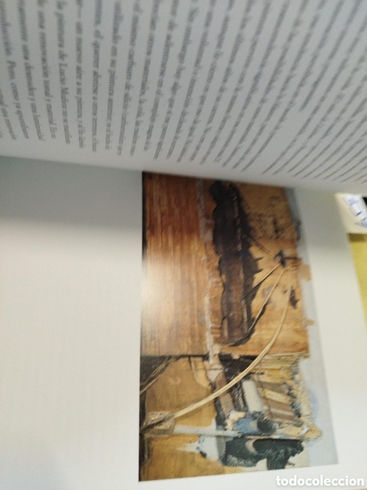 Libros: LUCIO MU&Ntilde;OZ. Obra reciente - CATALOGO - Foto 7