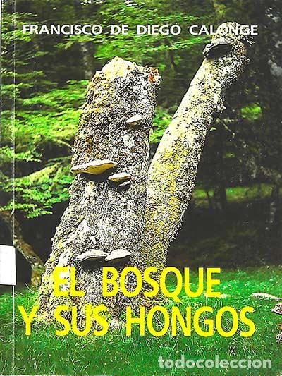 Libros: El bosque y sus hongos - FRANCISCO DE DIEGO CALONGE - Foto 1