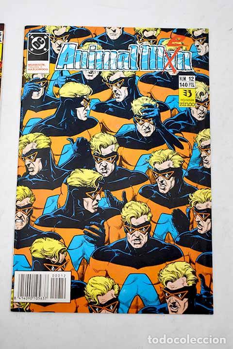 Libros: Animal Man, n&uacute;mero 12.- Morrison - Foto 1
