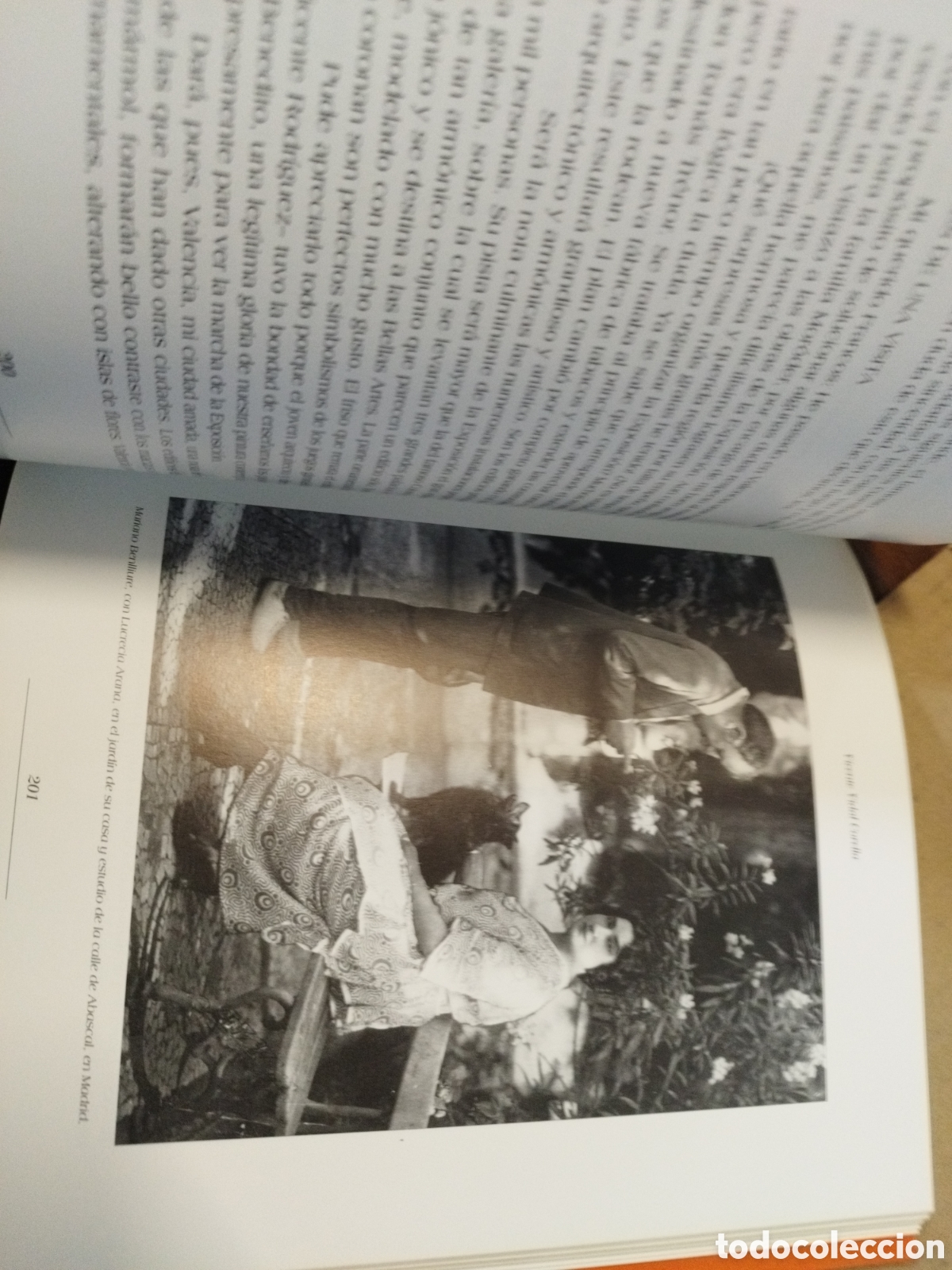 Libros: LOS BENLLIURE Y SU EPOCA. Edici&oacute;n a&ntilde;o 2000 - VIDAL CORELLA,Vicente - Foto 7