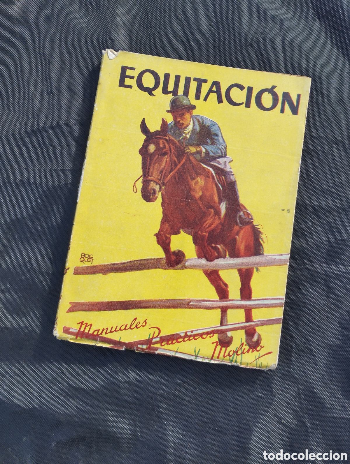 Libros: Equitaci&oacute;n. Manuales pr&aacute;cticos Molino. Alberto Vallve de Avil&eacute;s. - Foto 1