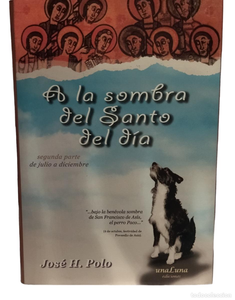 Libros: A LA SOMBRA DEL SANTO DEL DIA / JOSE H. POLO. EXCELENTE ESTADO. 2008.